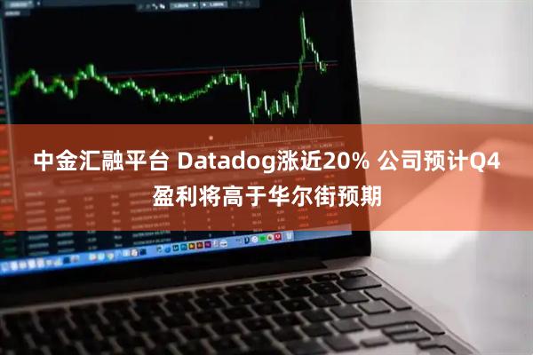 中金汇融平台 Datadog涨近20% 公司预计Q4盈利将高于华尔街预期