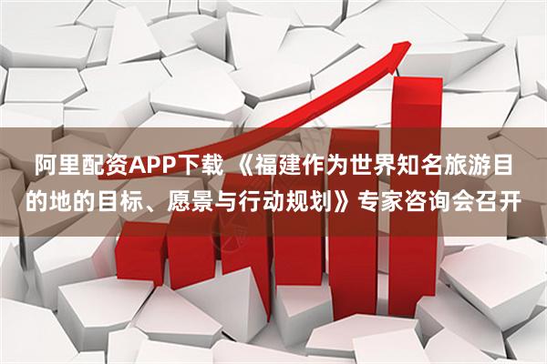 阿里配资APP下载 《福建作为世界知名旅游目的地的目标、愿景与行动规划》专家咨询会召开